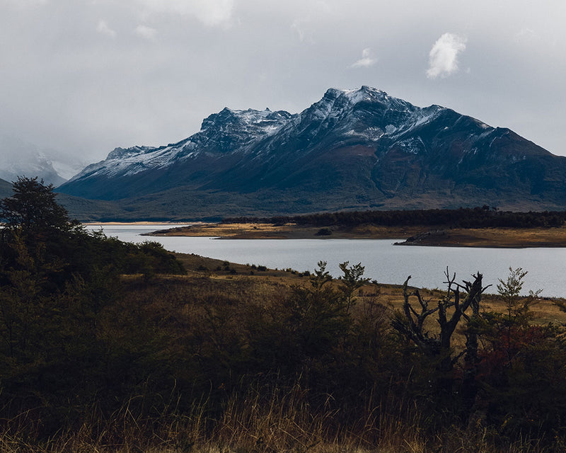 REWILDING ARGENTINA